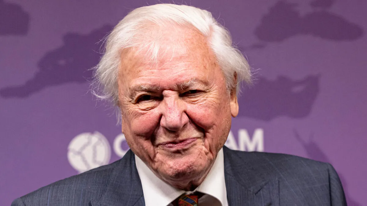 "He Looked After The Planet": David Attenborough Shares Devastating Confession In New Documentary