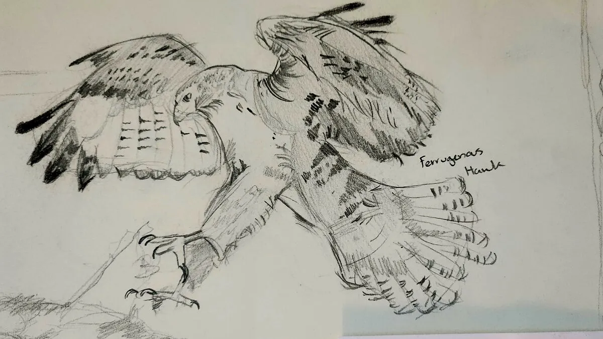 Here's My Bird Portrait Collection That I Drew (12 Pics)