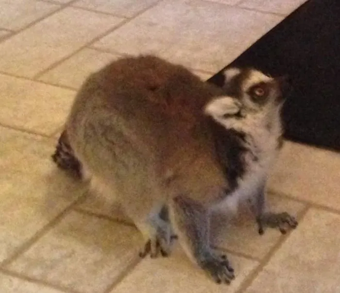 30 Weird And Shocking Things Workers Saw While Entering People’s Homes For Their Job