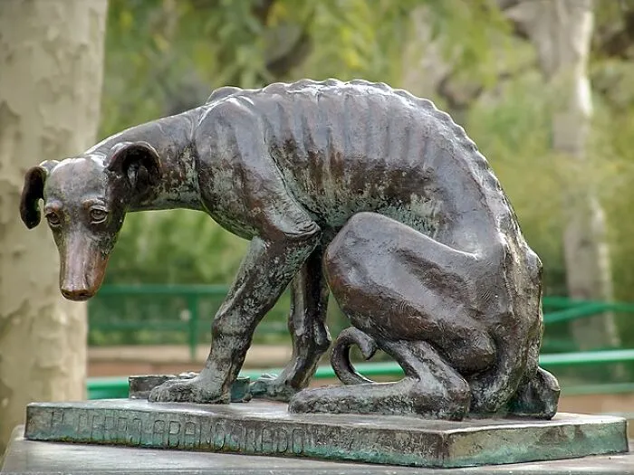50 Interesting Facts And Stories That You Might Not Have Heard Of Before