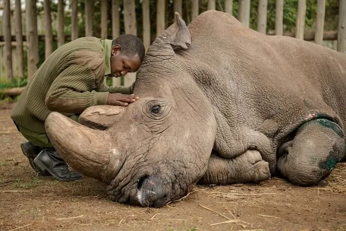 50 Interesting Facts And Stories That You Might Not Have Heard Of Before