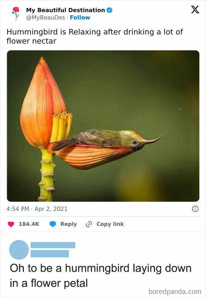 These 50 Hilarious Animal Posts Are Why We Don’t Deserve The Internet, Or Pets, Or Peace