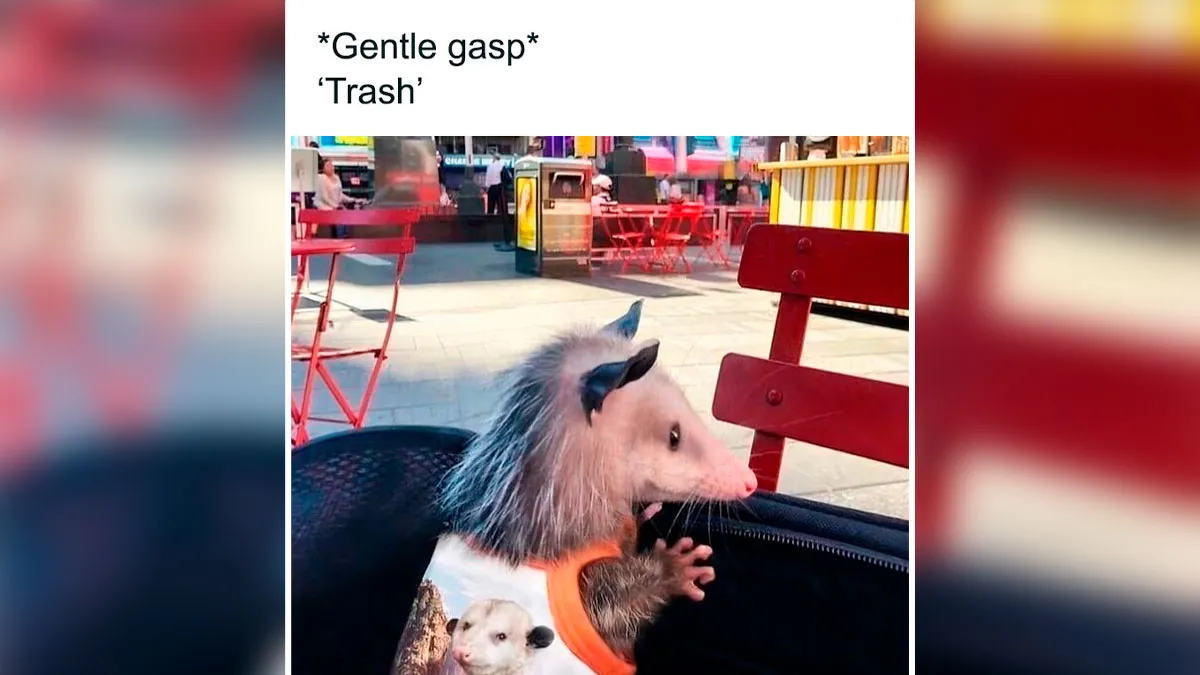 These 50 Hilarious Animal Posts Are Why We Don’t Deserve The Internet, Or Pets, Or Peace