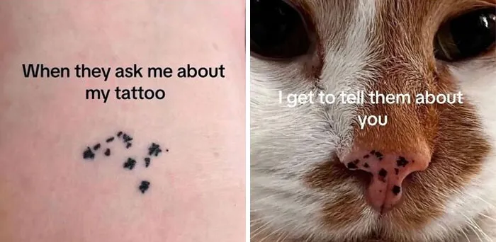 These 50 Hilarious Animal Posts Are Why We Don’t Deserve The Internet, Or Pets, Or Peace