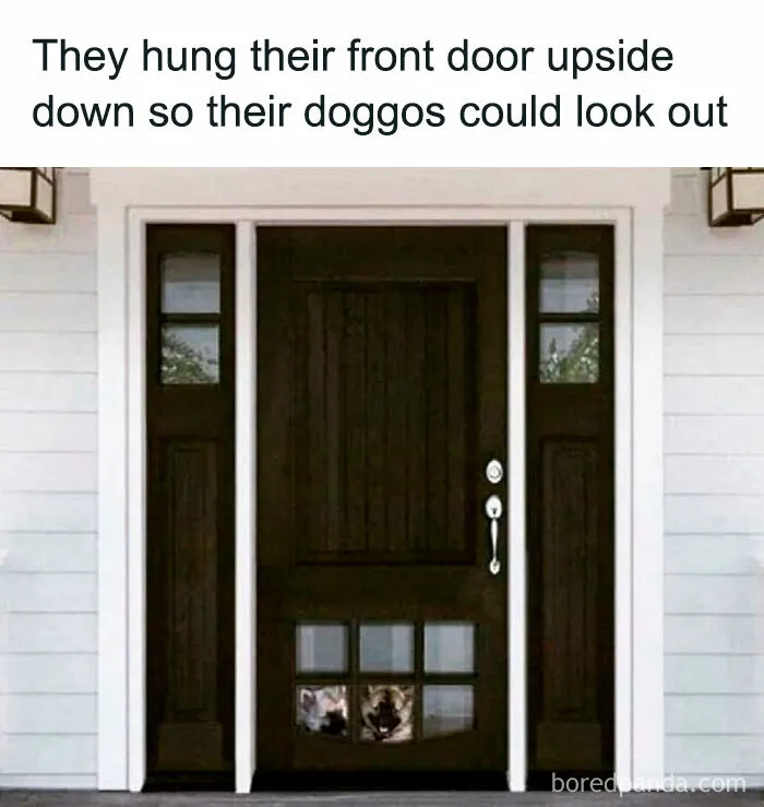 These 50 Hilarious Animal Posts Are Why We Don’t Deserve The Internet, Or Pets, Or Peace