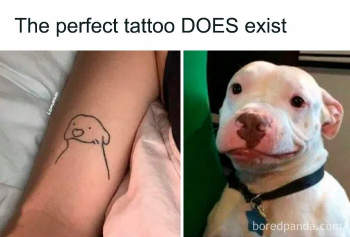 These 50 Hilarious Animal Posts Are Why We Don’t Deserve The Internet, Or Pets, Or Peace