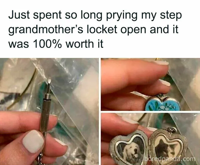 These 50 Hilarious Animal Posts Are Why We Don’t Deserve The Internet, Or Pets, Or Peace