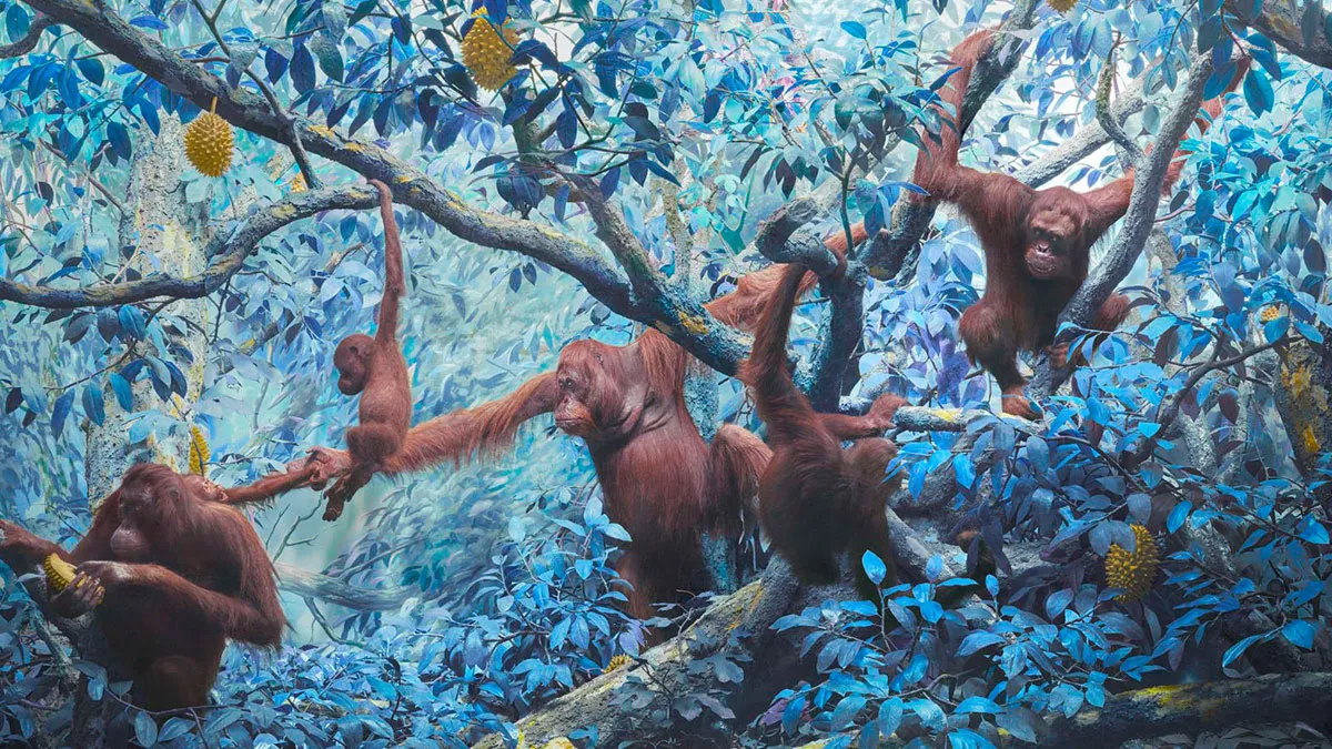 26 Beautiful But Unsettling Visions Of The Natural World By Jim Naughten