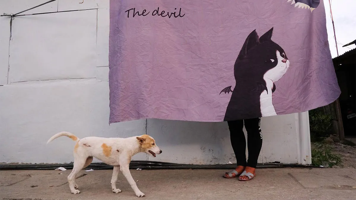 38 Candid Dog Moments Captured By This Street Photographer