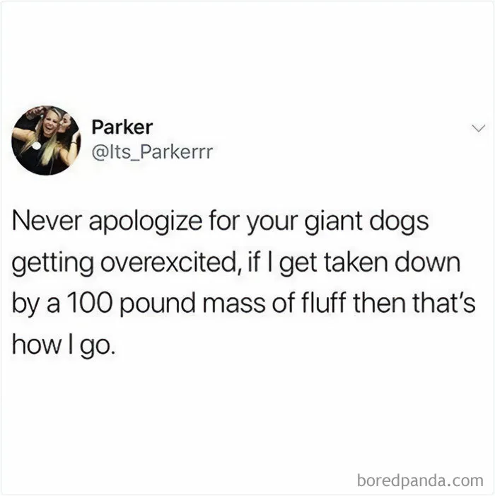50 Funny And Wholesome Dog Memes That Might Melt Your Heart Even If You’re A Cat Person