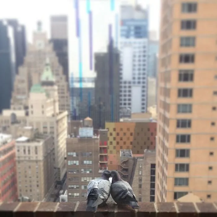 Timotheee Chalamet 2014: "Woke Up To This"