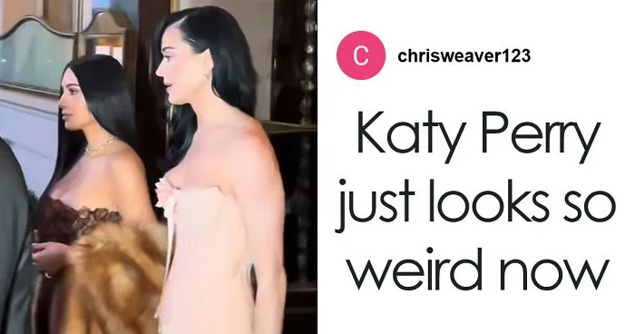 Amid Blue Origin Backlash And Tour Blunders, Katy Perry Is Slammed Again Over Celebrity Dinner