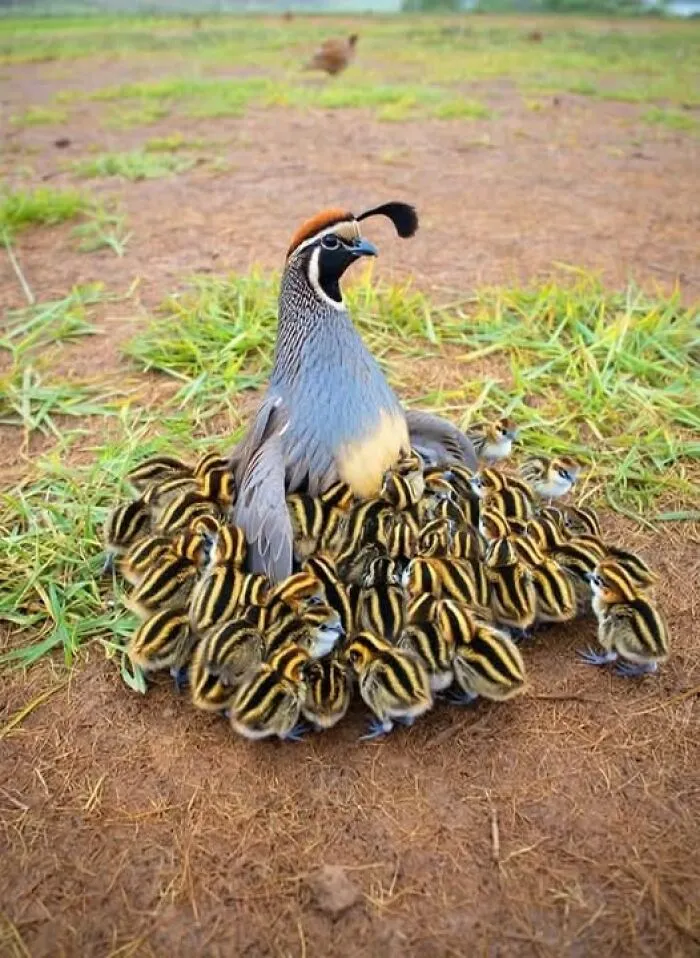 40 Glimpses Of Nature So Perfect, You May End Up Feeling Like You’ve Been Let In On A Secret