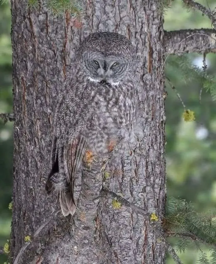40 Glimpses Of Nature So Perfect, You May End Up Feeling Like You’ve Been Let In On A Secret