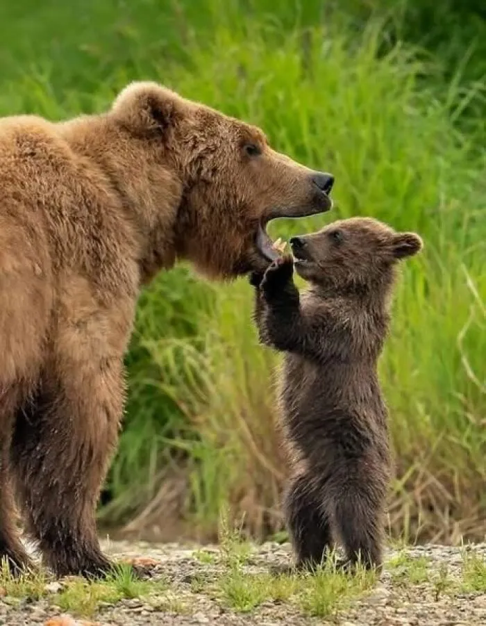40 Glimpses Of Nature So Perfect, You May End Up Feeling Like You’ve Been Let In On A Secret
