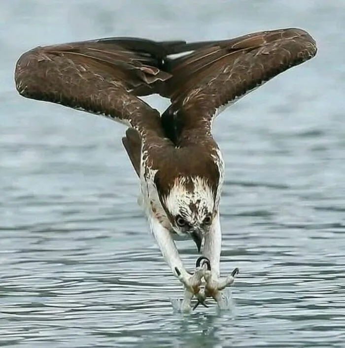 40 Glimpses Of Nature So Perfect, You May End Up Feeling Like You’ve Been Let In On A Secret