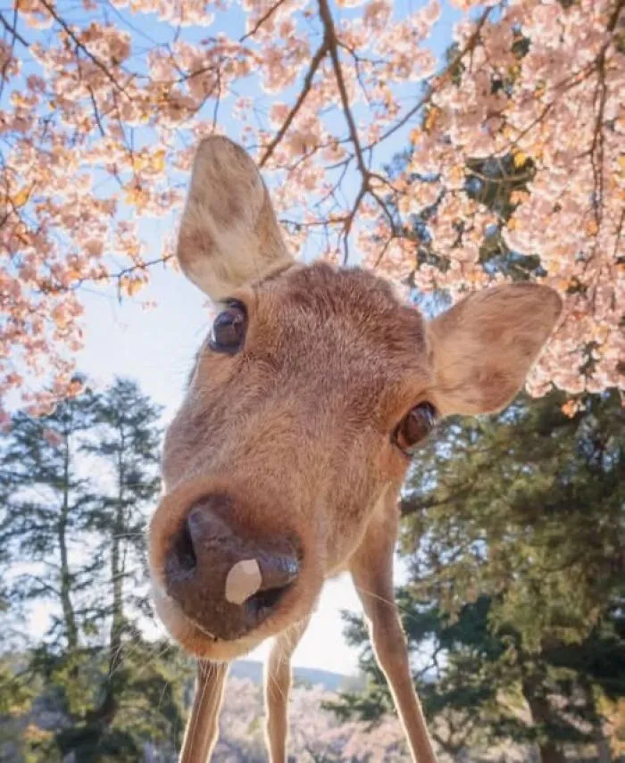 40 Glimpses Of Nature So Perfect, You May End Up Feeling Like You’ve Been Let In On A Secret