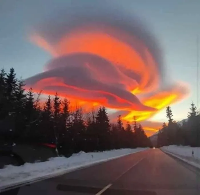 40 Glimpses Of Nature So Perfect, You May End Up Feeling Like You’ve Been Let In On A Secret