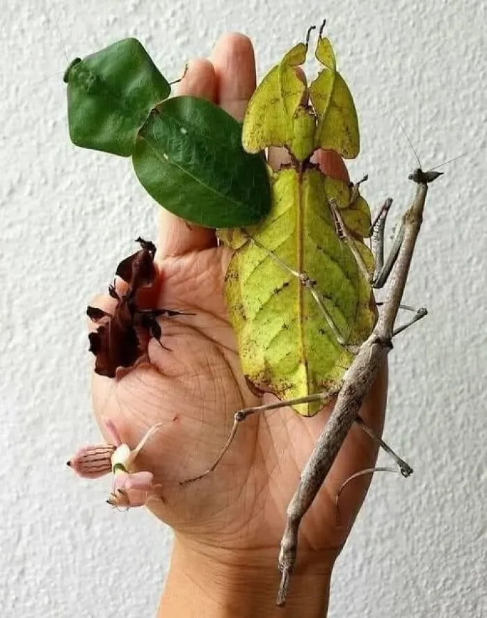 40 Glimpses Of Nature So Perfect, You May End Up Feeling Like You’ve Been Let In On A Secret