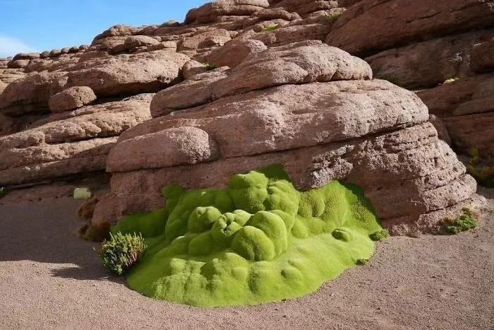 40 Glimpses Of Nature So Perfect, You May End Up Feeling Like You’ve Been Let In On A Secret