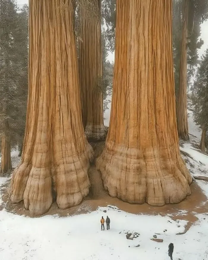 40 Glimpses Of Nature So Perfect, You May End Up Feeling Like You’ve Been Let In On A Secret