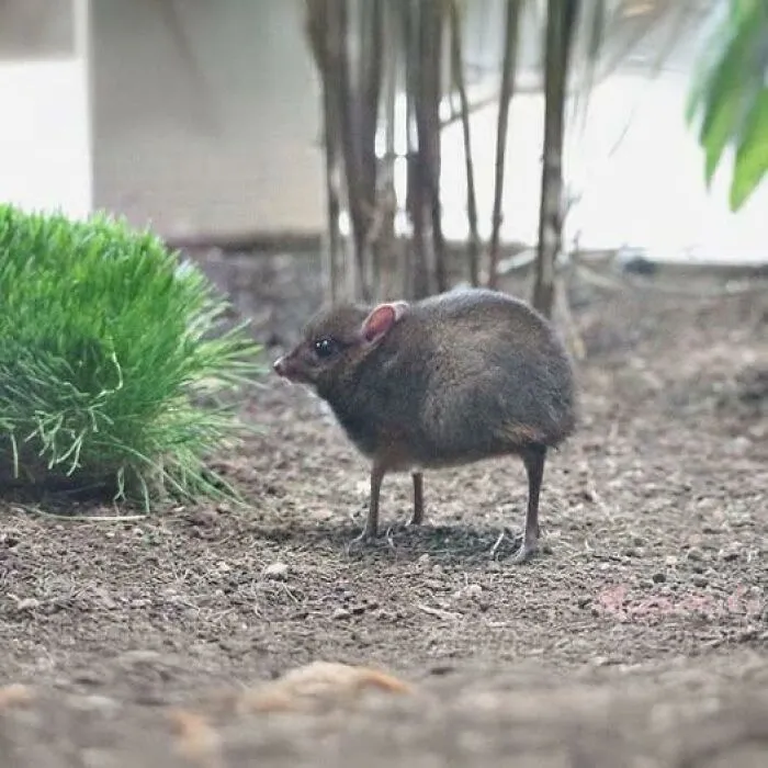 40 Glimpses Of Nature So Perfect, You May End Up Feeling Like You’ve Been Let In On A Secret
