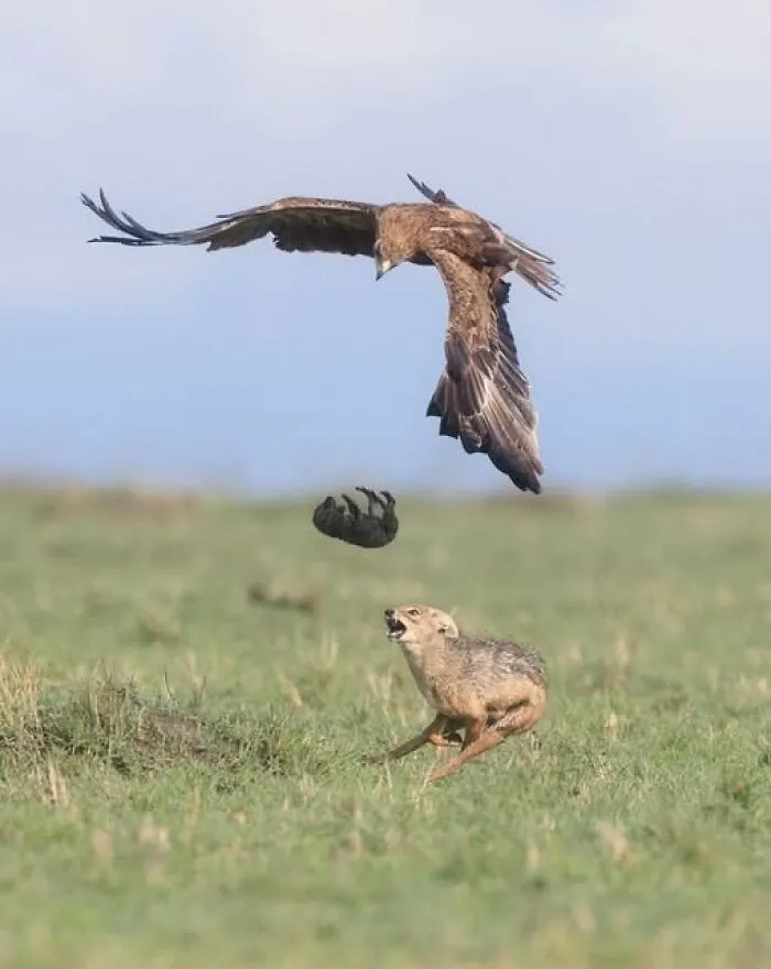 40 Glimpses Of Nature So Perfect, You May End Up Feeling Like You’ve Been Let In On A Secret