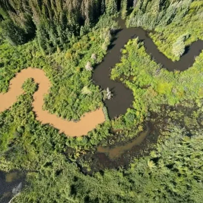 40 Glimpses Of Nature So Perfect, You May End Up Feeling Like You’ve Been Let In On A Secret