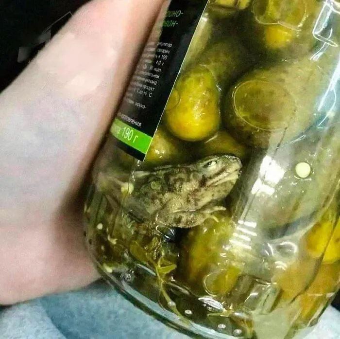 40 Disgusting Pics Of Food Someone Actually Was Served And Even Ate