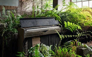 My 11 Photos Of Forgotten Pianos Slowly Decaying In Abandoned Places Across Japan