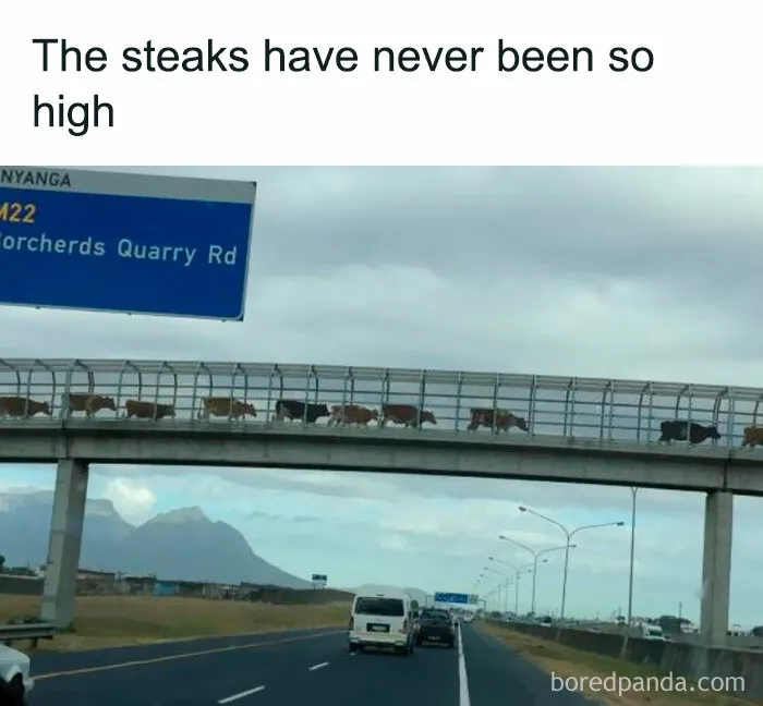 If You Haven’t Had Your Dose Of Memes Today, Here Are 50 Hilarious Posts