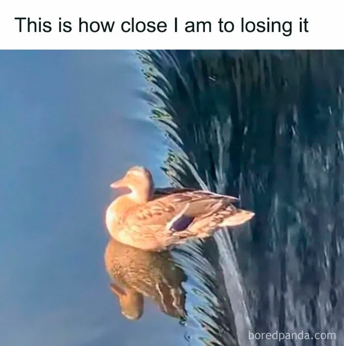 If You Haven’t Had Your Dose Of Memes Today, Here Are 50 Hilarious Posts