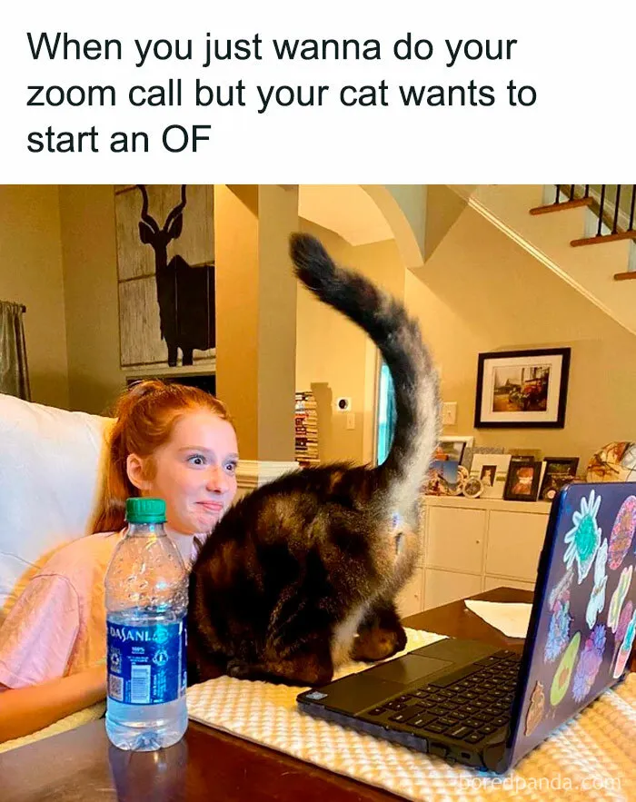 If You Haven’t Had Your Dose Of Memes Today, Here Are 50 Hilarious Posts