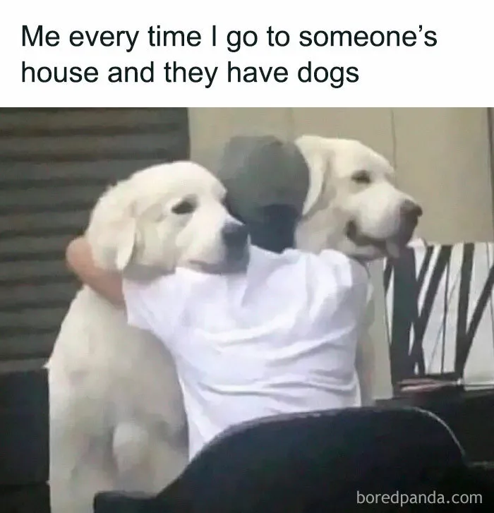 If You Haven’t Had Your Dose Of Memes Today, Here Are 50 Hilarious Posts