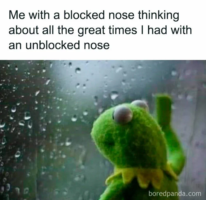 If You Haven’t Had Your Dose Of Memes Today, Here Are 50 Hilarious Posts