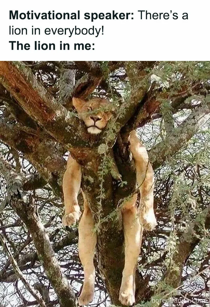 If You Haven’t Had Your Dose Of Memes Today, Here Are 50 Hilarious Posts