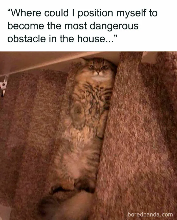 If You Haven’t Had Your Dose Of Memes Today, Here Are 50 Hilarious Posts