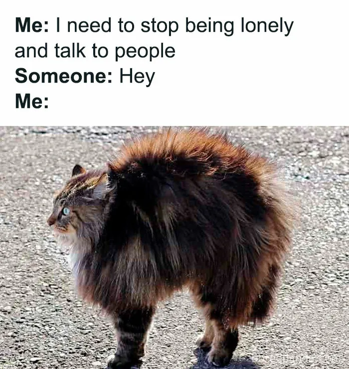 If You Haven’t Had Your Dose Of Memes Today, Here Are 50 Hilarious Posts