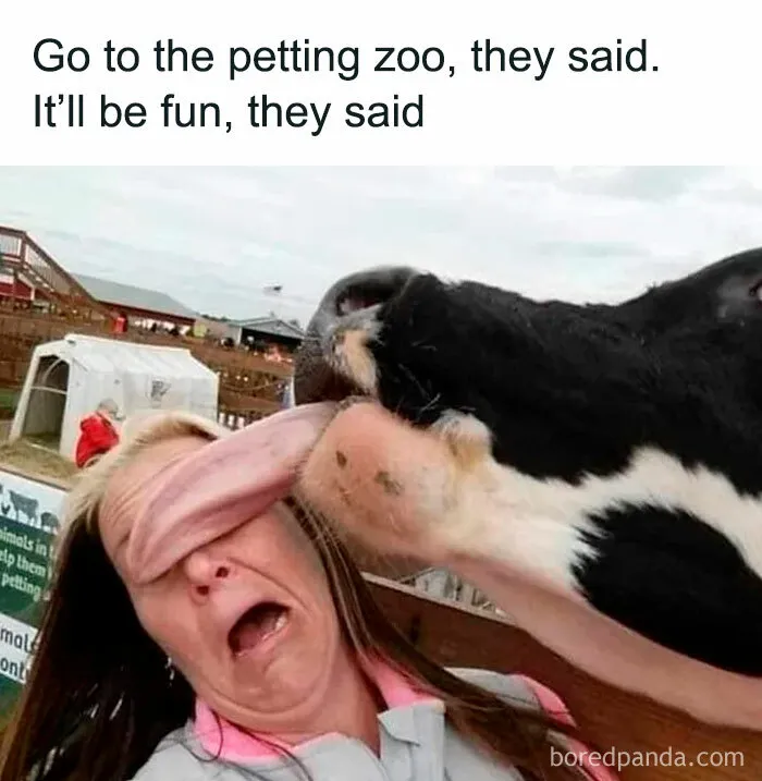 If You Haven’t Had Your Dose Of Memes Today, Here Are 50 Hilarious Posts