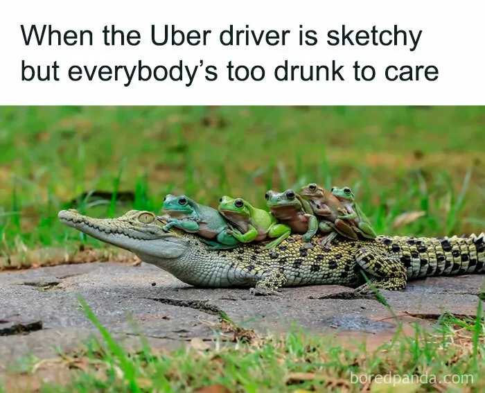 If You Haven’t Had Your Dose Of Memes Today, Here Are 50 Hilarious Posts