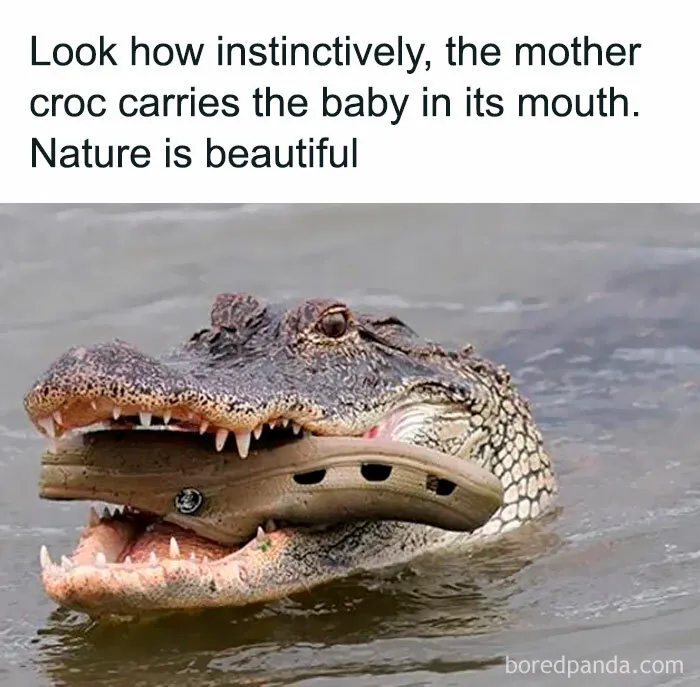 If You Haven’t Had Your Dose Of Memes Today, Here Are 50 Hilarious Posts