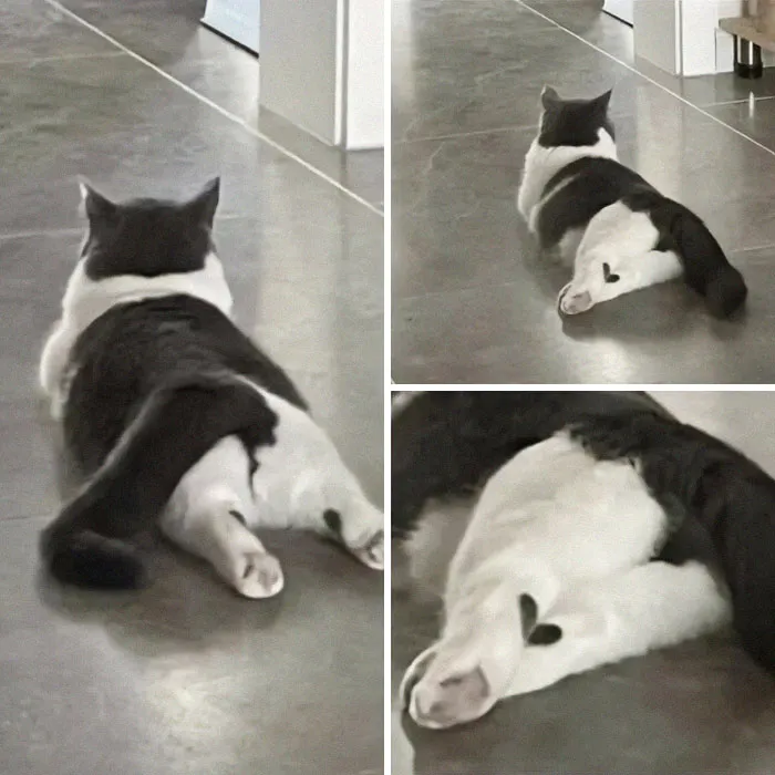 50 Times “Pics Or It Didn’t Happen” Delivered Pure Chaos