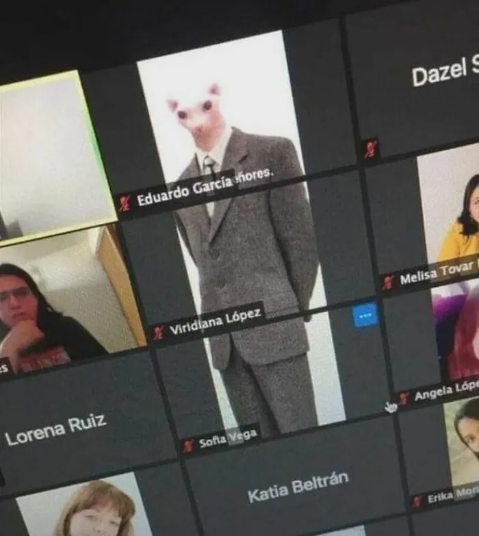 Zoom meeting grid with a participant showing a weird edited face wearing a suit, illustrating weird pics or it didn’t happen moments.