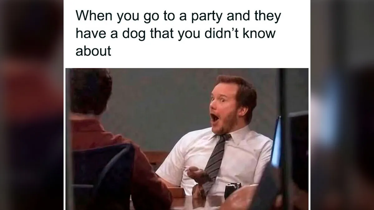 50 Funny Dog Memes That Are A True Ray Of Sunshine On A Tiring Day