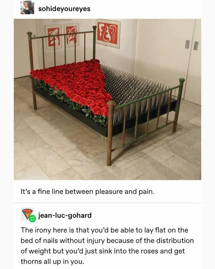 Bed with half covered in red roses and half in sharp nails symbolizing pleasure and pain, serotonin boost from visual contrast.