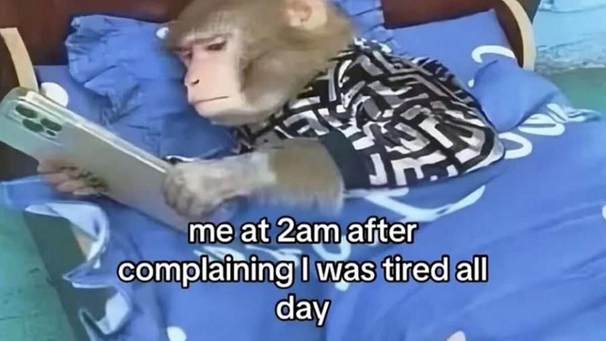 50 Hilarious Introvert Memes, Courtesy Of This Popular Page That Gets You (New Pics)