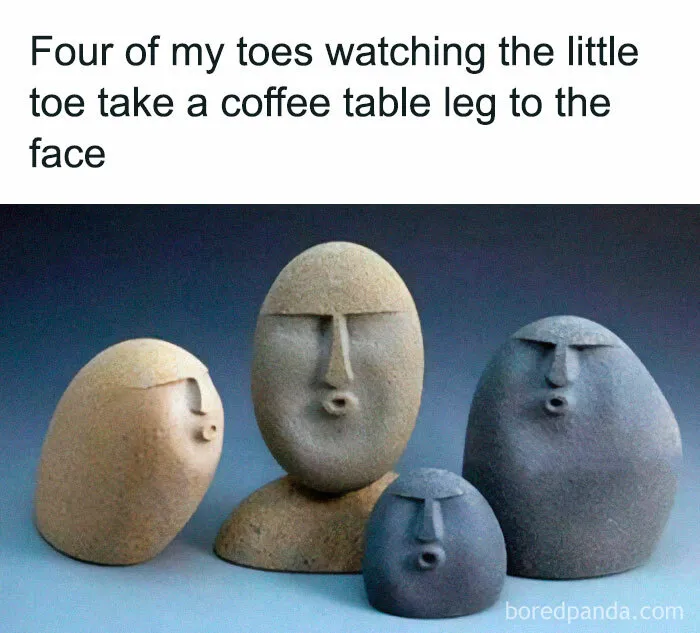 50 Totally Random And Funny Memes For When Your Brain Needs A Break