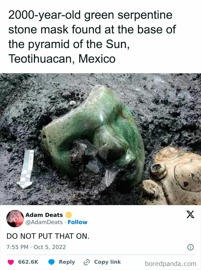 50 Totally Random And Funny Memes For When Your Brain Needs A Break