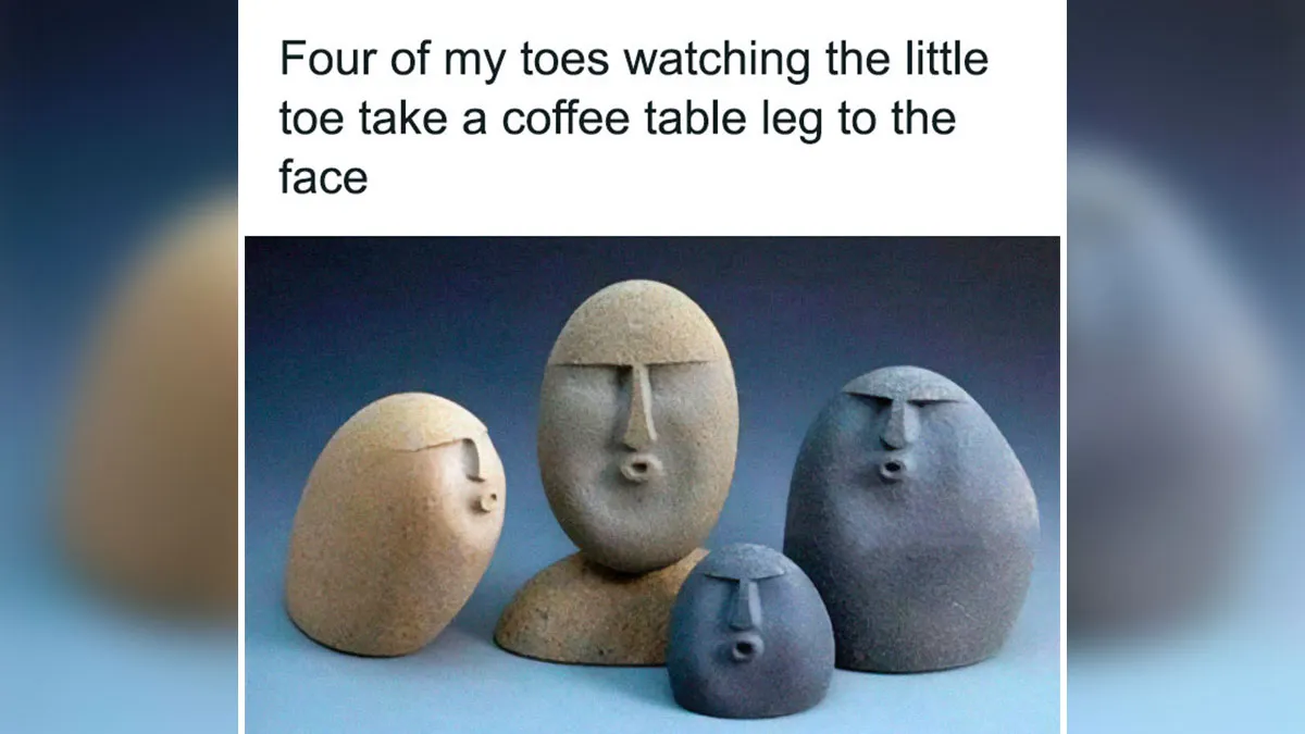 50 Totally Random And Funny Memes For When Your Brain Needs A Break