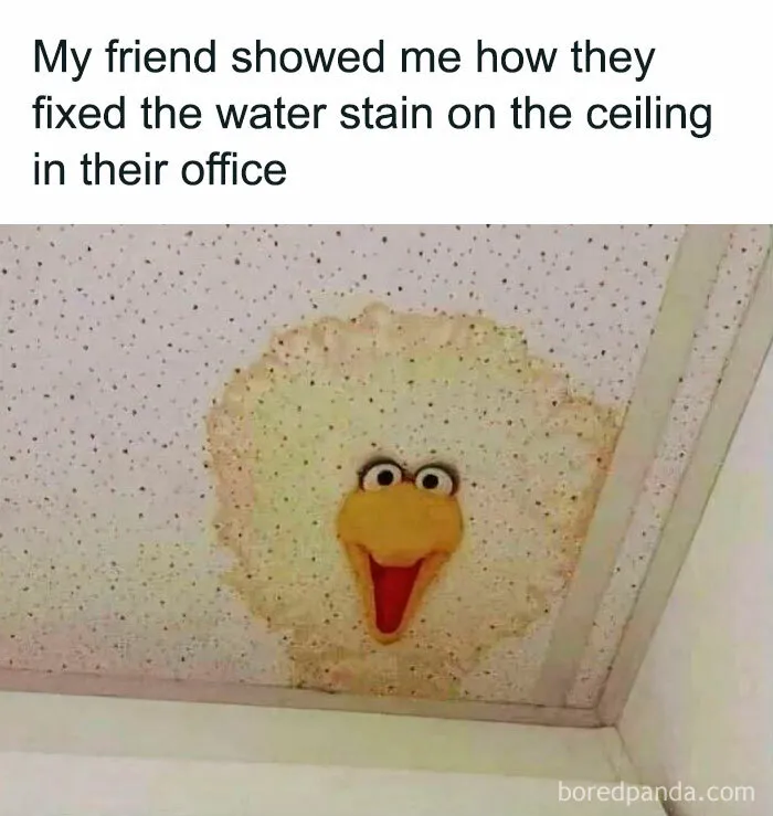 Ahh Yes, The Ol' Landlord Special
